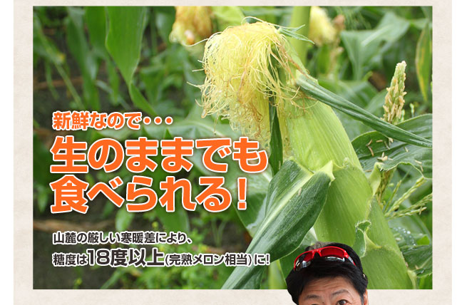 新鮮なので生食可。糖度は完熟メロン相当の糖度18度以上!