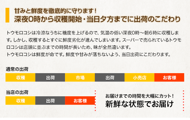 朝採り・当日出荷のこだわり