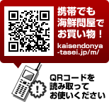 �����䲰�����η��ӥ�����QR������
