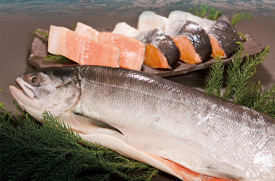 GIFT】大槌サーモン 岩手県産サーモン 【ご贈答】【田清魚店】