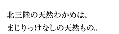 北三陸の天然わかめは、まじりっけなしの天然もの。