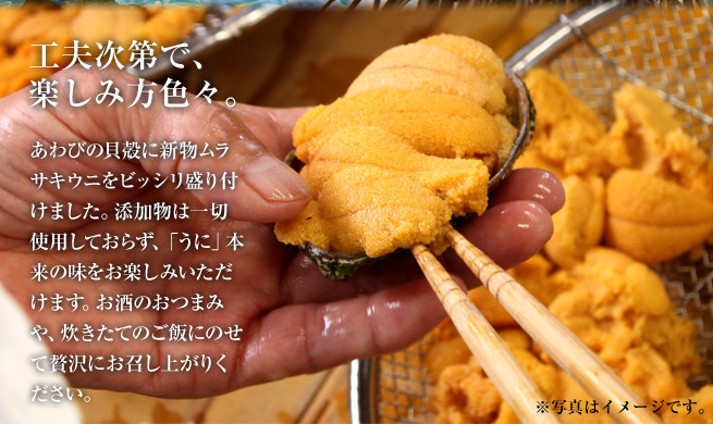 ¹©É×¼¡Âè¤Ç³Ú¤·¤ßÊý¿§¡¹¡£